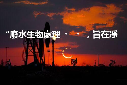 “廢水生物處理，旨在凈化水源，守護碧水藍天”